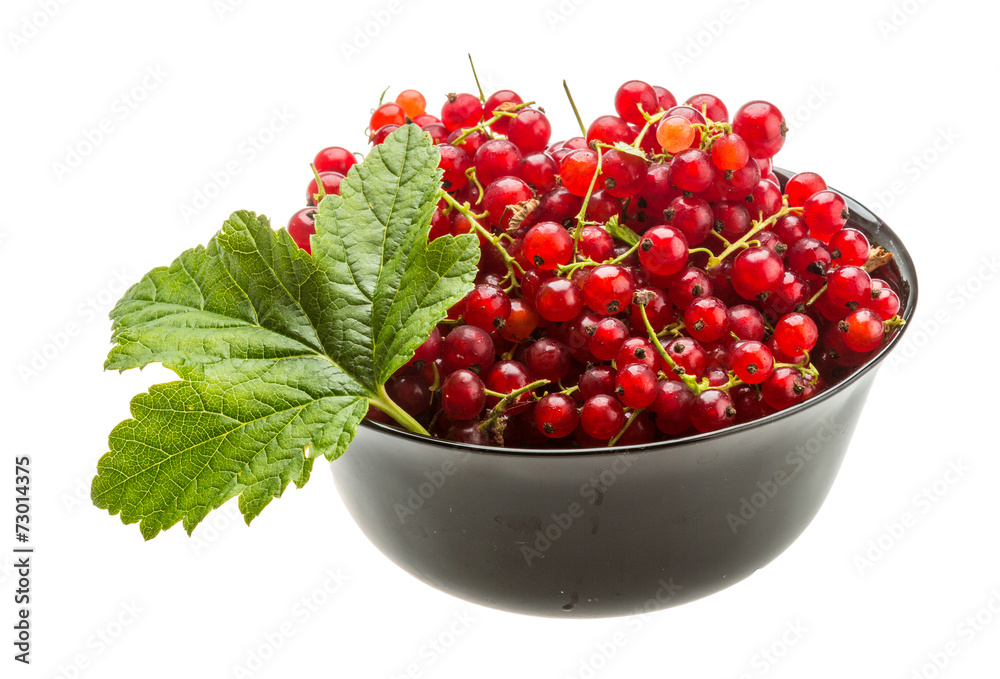Red currant Red currant