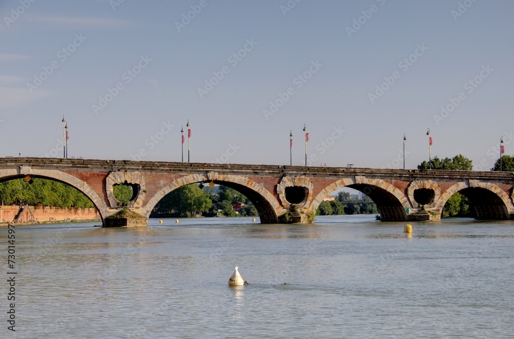 Fototapeta premium pont sur la garonne