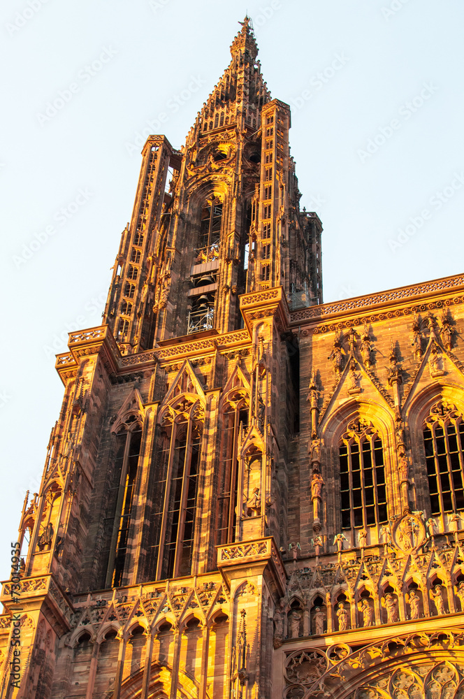 Fototapeta premium Cathédrale de Strasbourg au soleil couchant