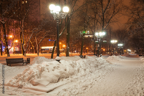 decorated winter city park