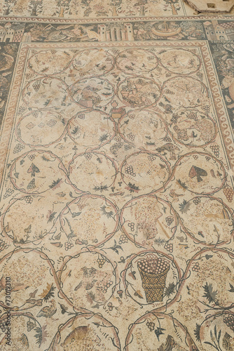 mosaic Roman ruins  Um Ar-Rasas  Jordan