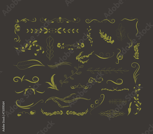 Hand drawn floral autumn collection