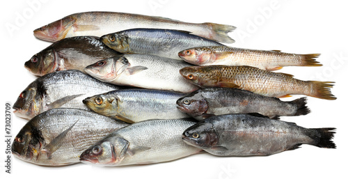 Fresh catch of fish isolated on white © Africa Studio