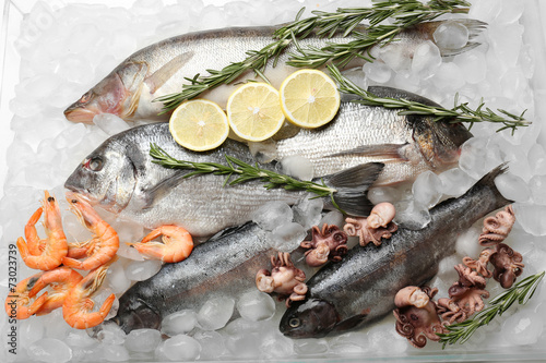 Fresh fish and other seafood on ice