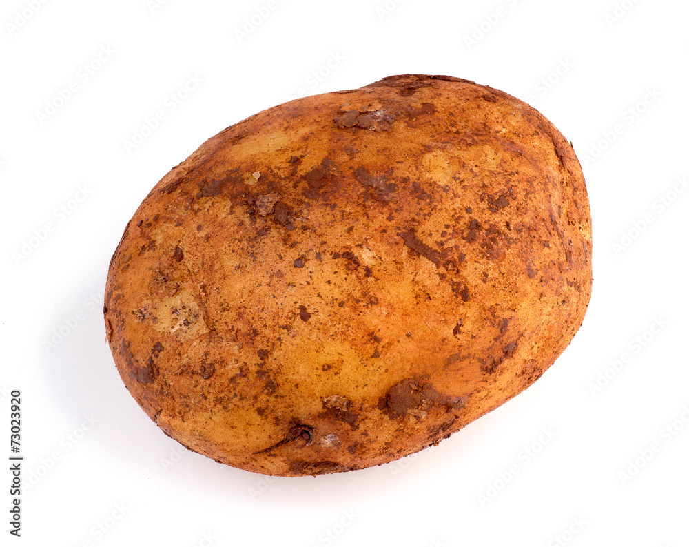 Closeup of dirty Australian organic russet potato Closeup of dirty Australian organic russet potato