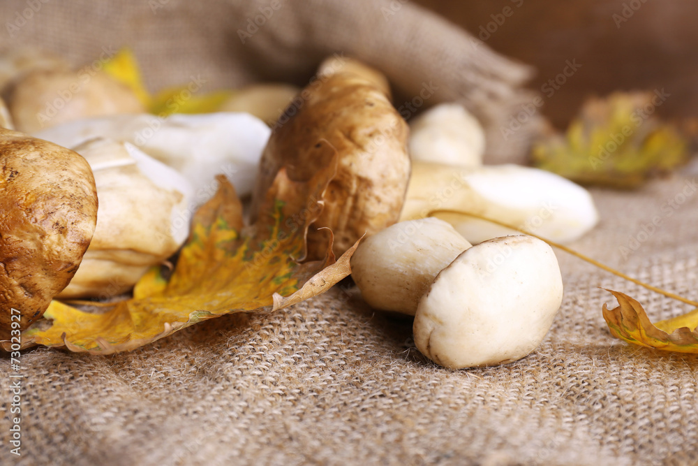 Fototapeta premium Wild mushrooms and autumn leaves on sacking background