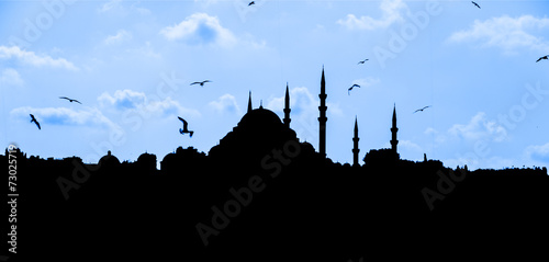 Cuadro en lienzo mosque shape contour