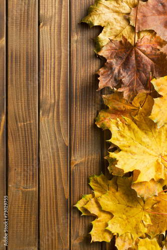 autumn leaves over wooden background with copy space