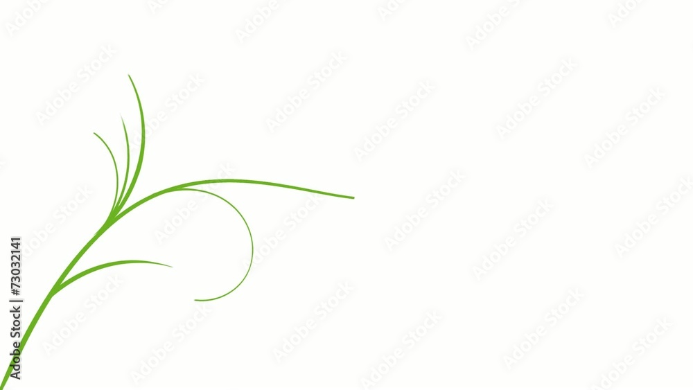 Elegant blooming animated swirls and flowers. Isolated on white