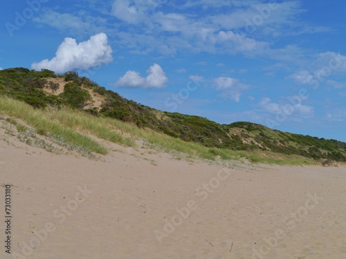 The beach and the dunes with vegetation of Cape Otway