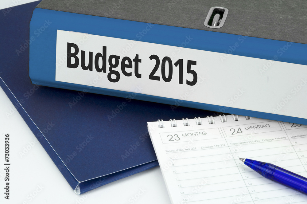 Budget 2015 - obrazy, fototapety, plakaty 