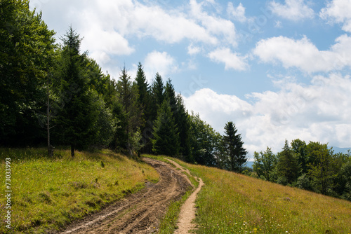 Dirt road in the Ukrainian Carpathians