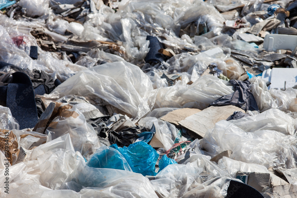 Garbage on the landfill