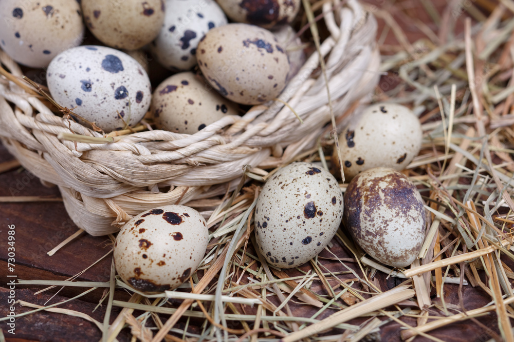 quail eggs quail eggs