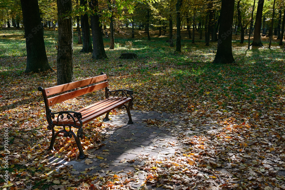 wooden bench in the park in the sunlight wooden bench in the park in the sunlight