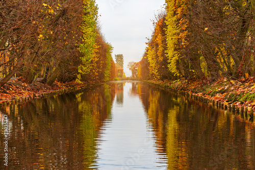 Pond in the autumnal park of Gdansk, Poland