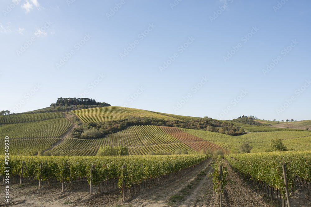 Tusca hills