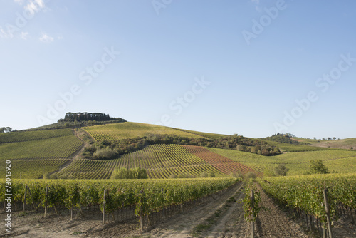 Tusca hills