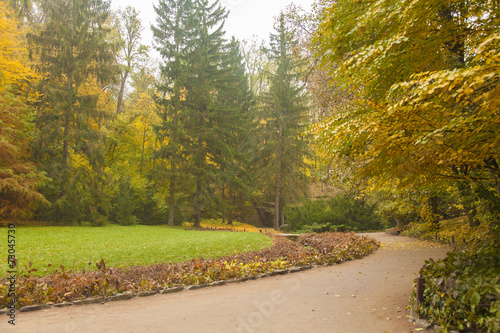 glade in autumn park