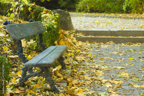 lonely bench autumn park