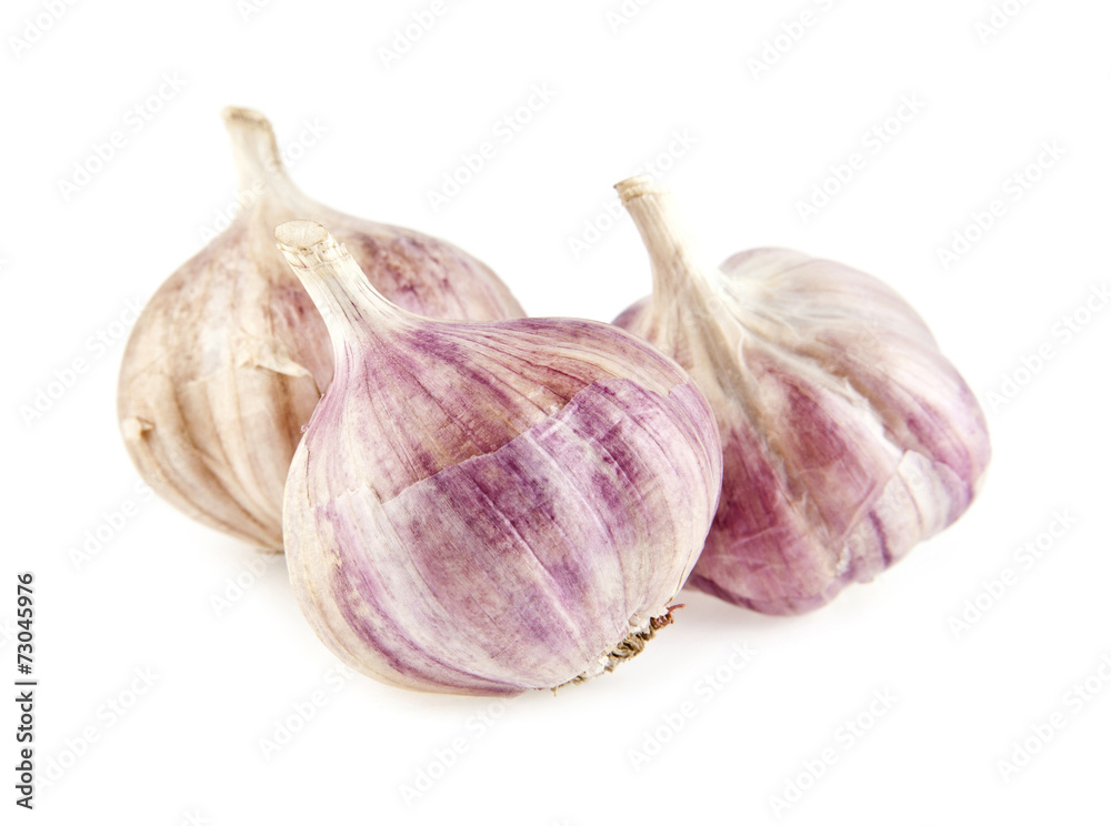 Obraz premium garlic