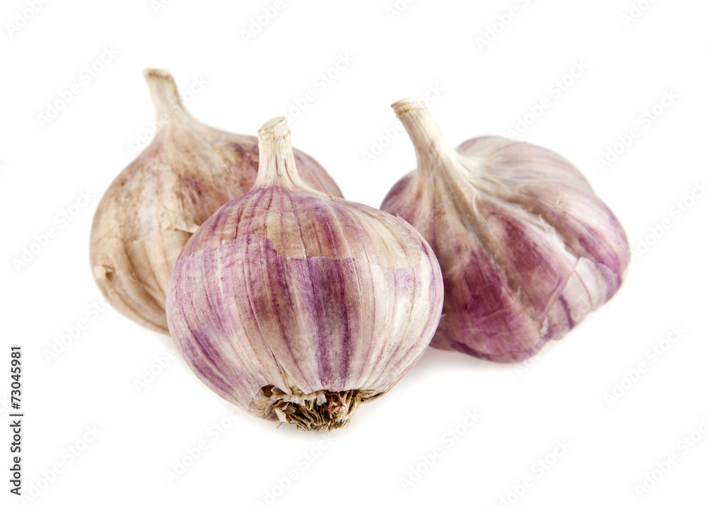Obraz premium garlic