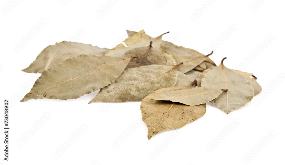 Laurel leaves Laurel leaves