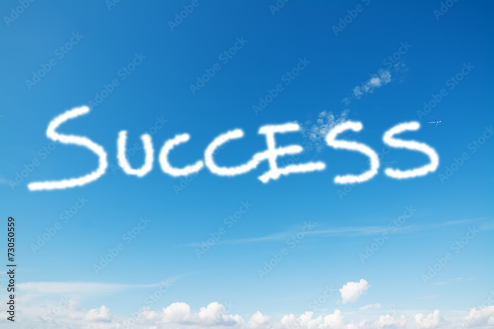Fototapeta premium success in the sky