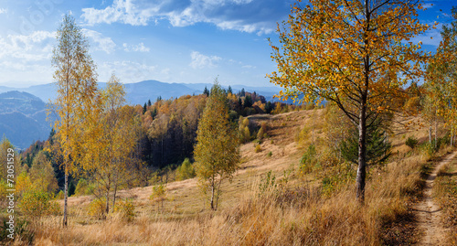 rock massif in the Carpathians