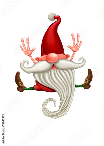 Fotografie Happy Christmas elf