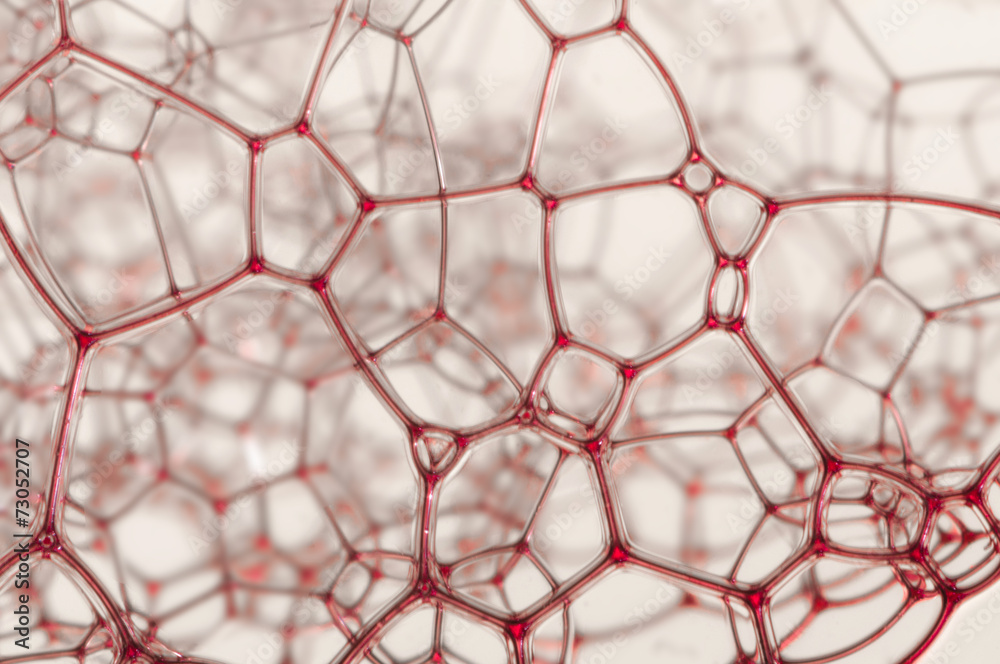 Fototapeta premium Lattice