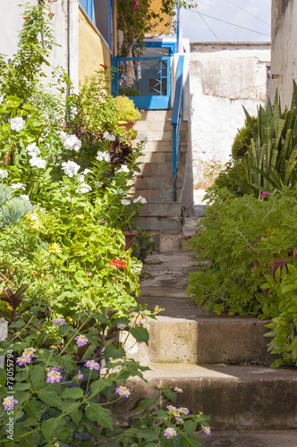 Potted Plants in the Street of Hora Sfakion on Crete