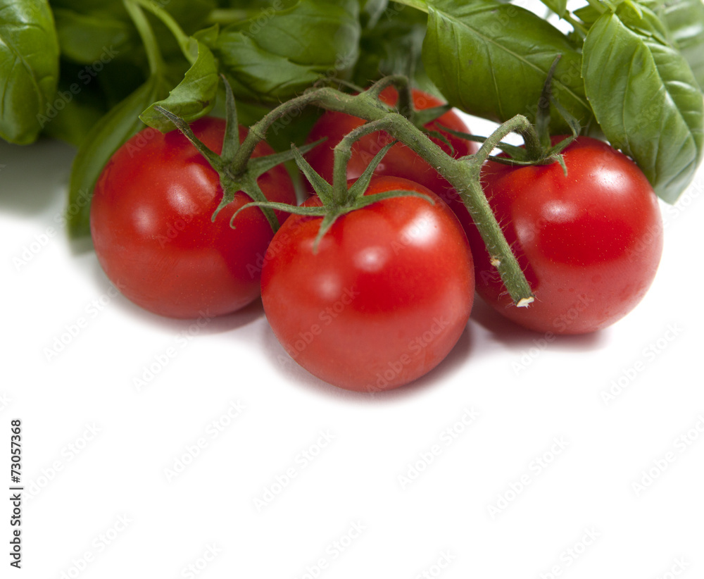 basilic et grappe de tomates cerises