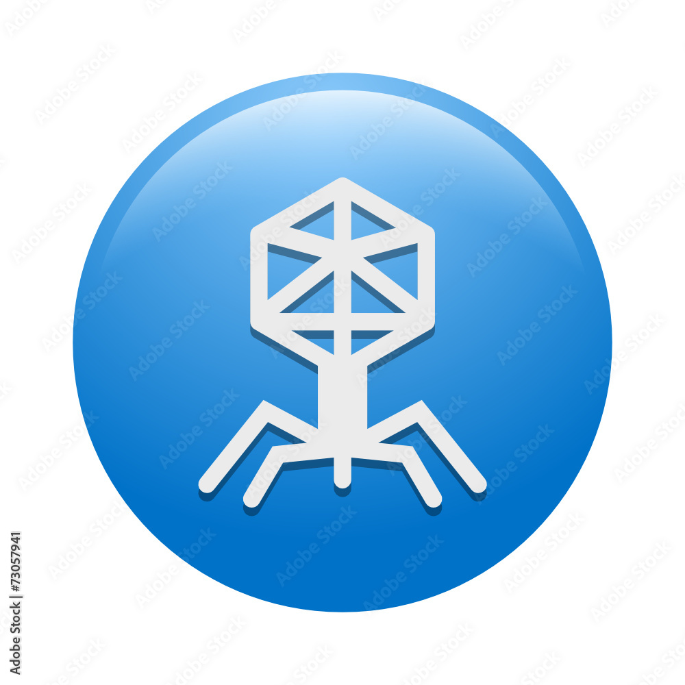 Vector Icon Vector Icon
