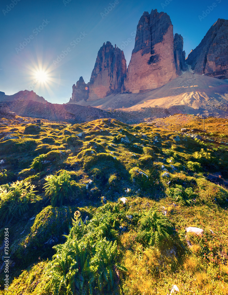 Fototapeta premium View of the sunny morning in National Park Tre Cime di Lavaredo.