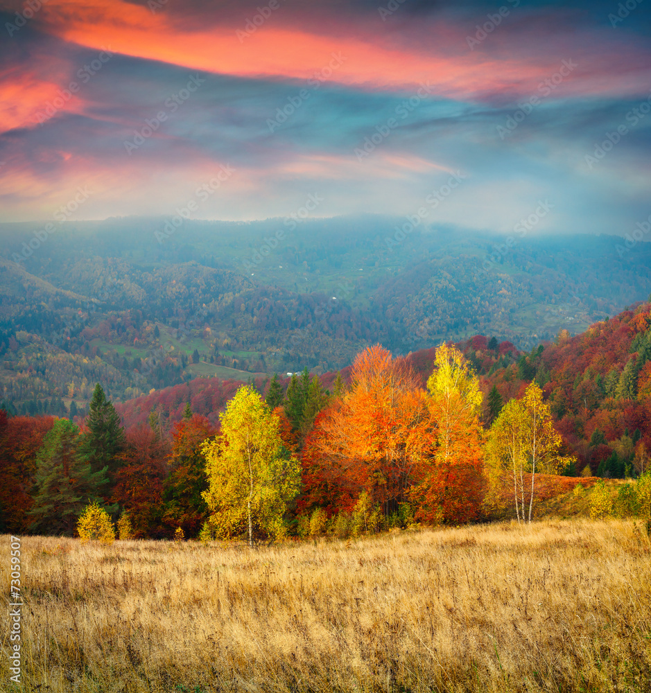 Fototapeta premium Colorful autumn morning in the Carpathian mountains