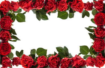 Red roses frame.