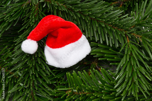 little santa hat on pine branch