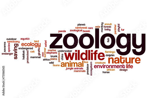 Photography Zoology word cloud