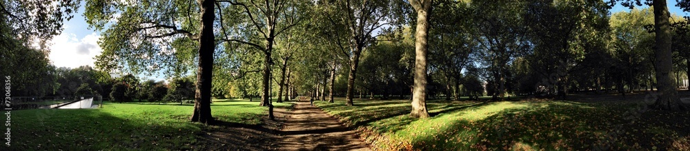 Suggestive view of the Green Park in London Suggestive view of the Green Park in London