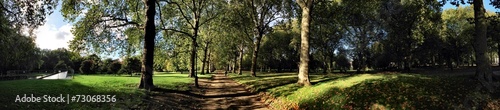 Suggestive view of the Green Park in London 