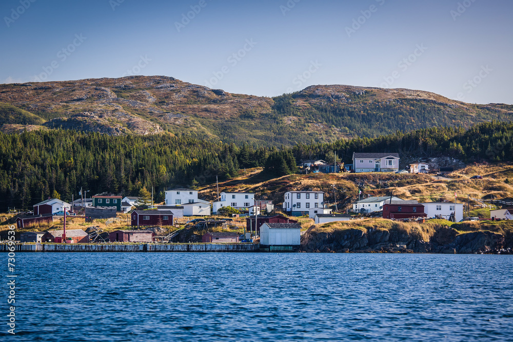 Newfoundland Shoreline