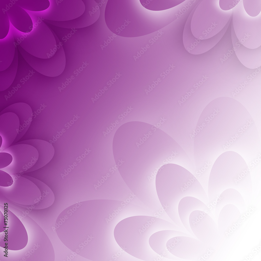 purple lotus form flower purple lotus form flower