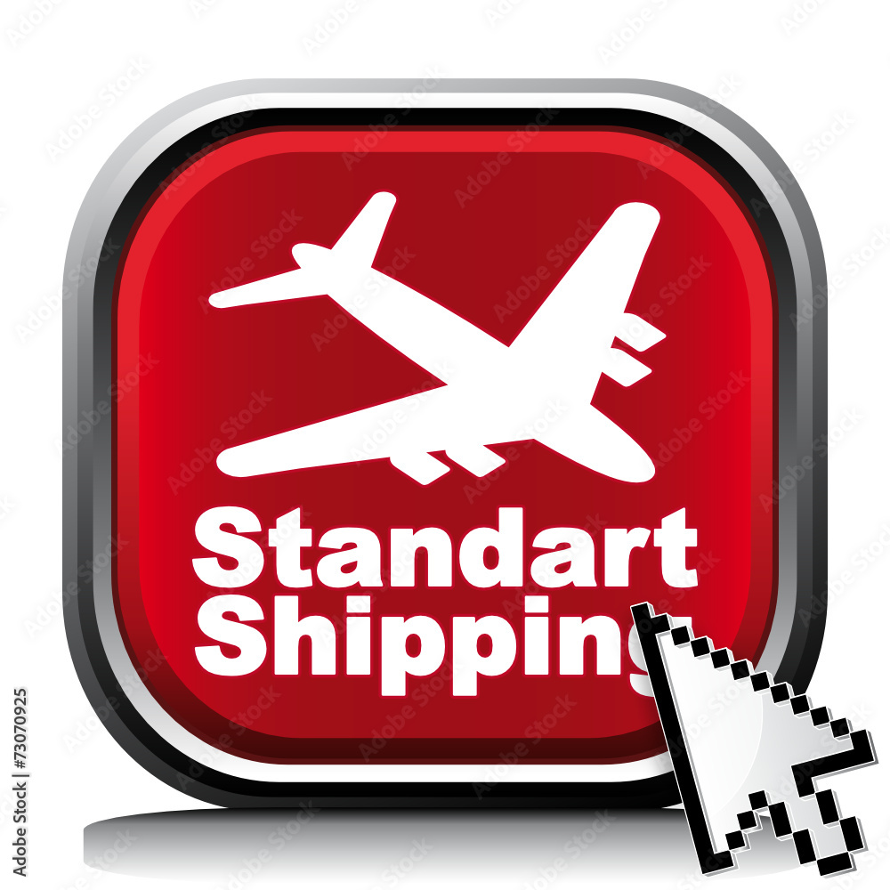 STANDART SHIPPING ICON STANDART SHIPPING ICON