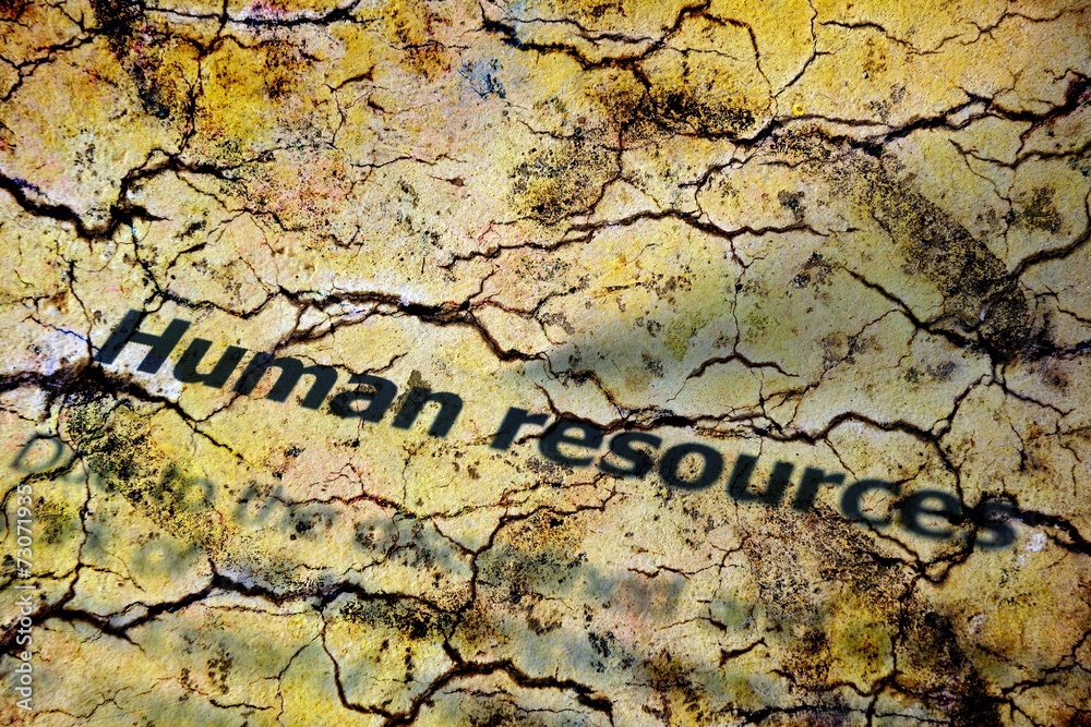 Obraz premium Human resources