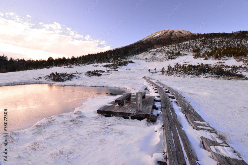 custom made wallpaper toronto digital新雪の燧ケ岳