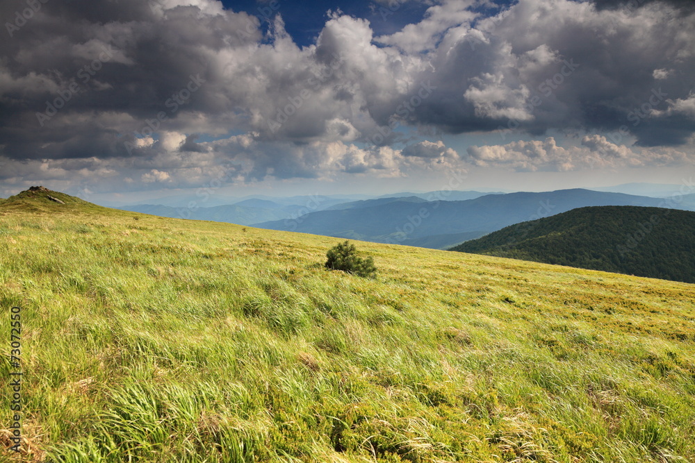 Beautiful landscape. Meadows in Bieszczady mountains.