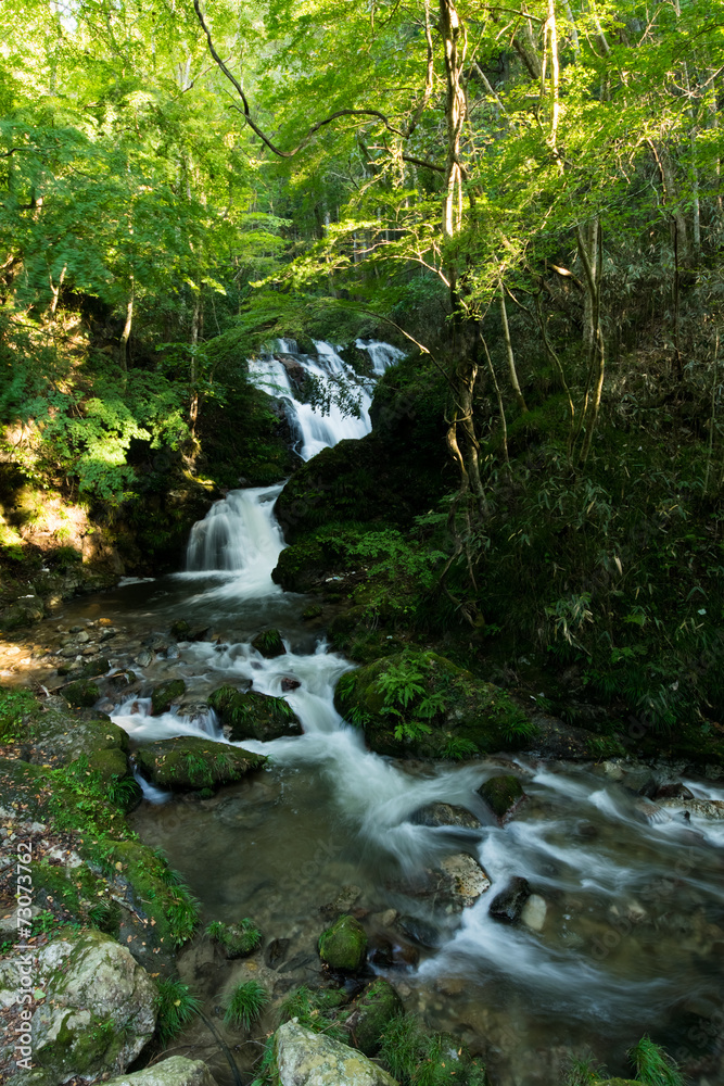 Yokokawa no Shimotaki waterfallll Yokokawa no Shimotaki waterfallll