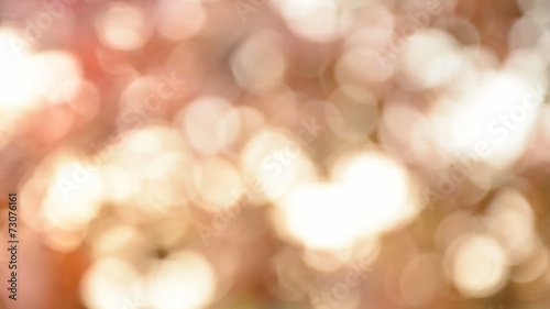 Defocused abstract nature background with bokeh. HD