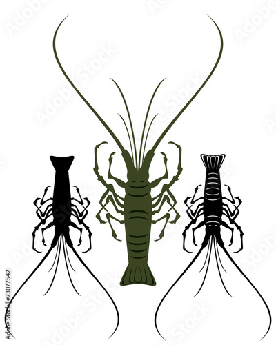 Crayfish